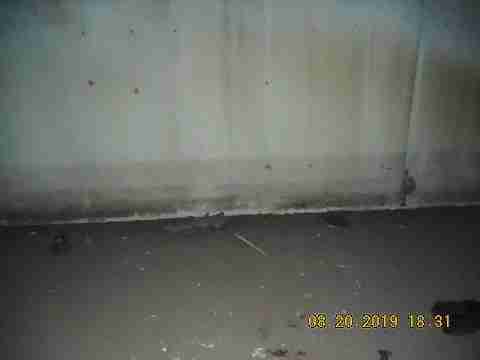 18453 Woodbine (18)_m.jpg